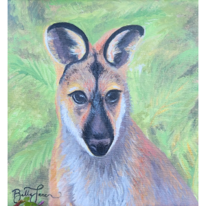 Wallaby-Red necked